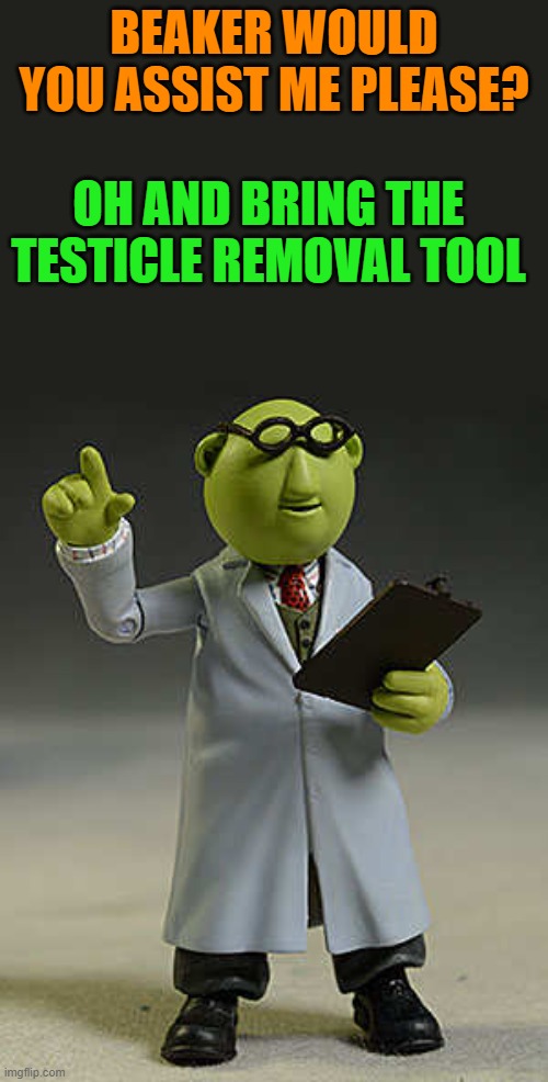 and remove your pants | BEAKER WOULD YOU ASSIST ME PLEASE? OH AND BRING THE TESTICLE REMOVAL TOOL | image tagged in muppets,assistant,beaker | made w/ Imgflip meme maker