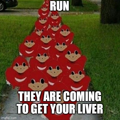 Run | RUN; THEY ARE COMING TO GET YOUR LIVER | image tagged in ugandan knuckles army,run,liver,ded meme | made w/ Imgflip meme maker