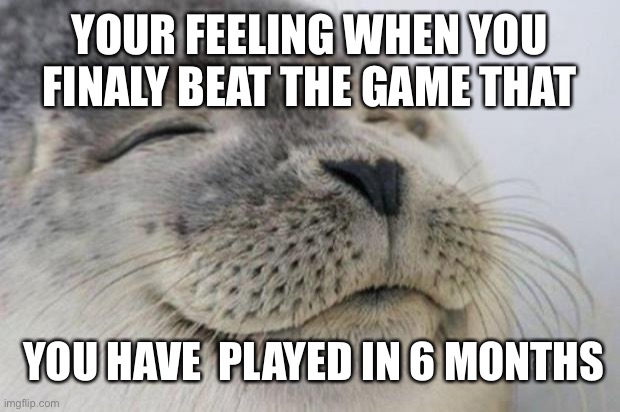 Happy Seal | YOUR FEELING WHEN YOU FINALY BEAT THE GAME THAT; YOU HAVE  PLAYED IN 6 MONTHS | image tagged in happy seal | made w/ Imgflip meme maker