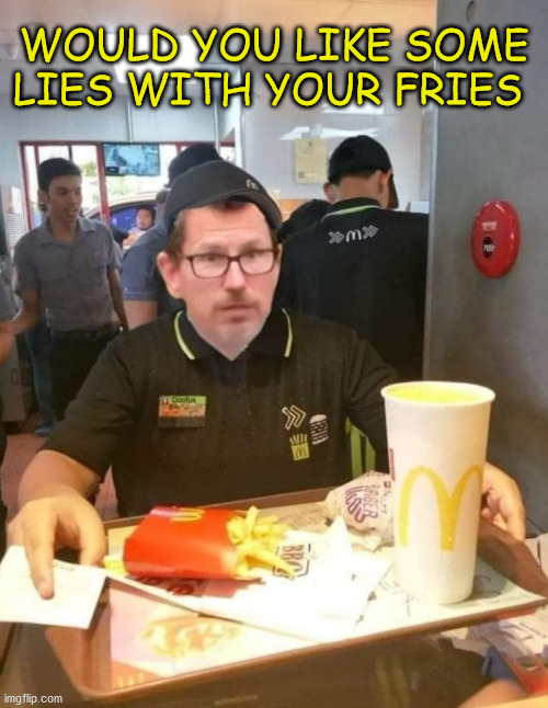 WOULD YOU LIKE SOME LIES WITH YOUR FRIES | image tagged in binger fry cook,burger flip binger | made w/ Imgflip meme maker