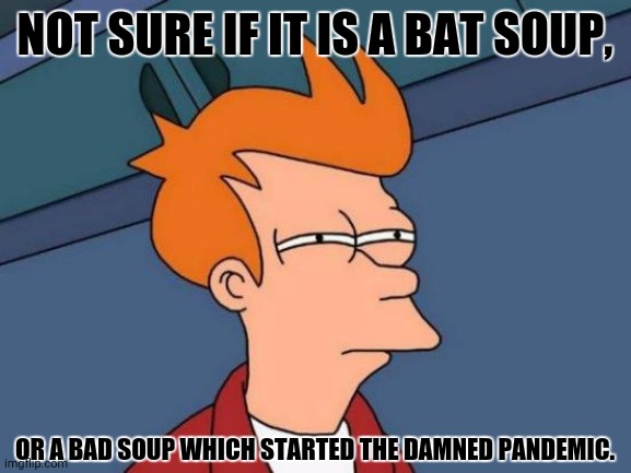 Futurama Fry Meme | NOT SURE IF IT IS A BAT SOUP, OR A BAD SOUP WHICH STARTED THE DAMNED PANDEMIC. | image tagged in memes,futurama fry,puns | made w/ Imgflip meme maker