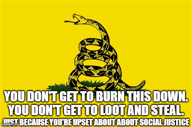 We Will Defend | YOU DON'T GET TO BURN THIS DOWN.
YOU DON'T GET TO LOOT AND STEAL. JUST BECAUSE YOU'RE UPSET ABOUT ABOUT SOCIAL JUSTICE | image tagged in dont tread on me,live and let die,foward | made w/ Imgflip meme maker