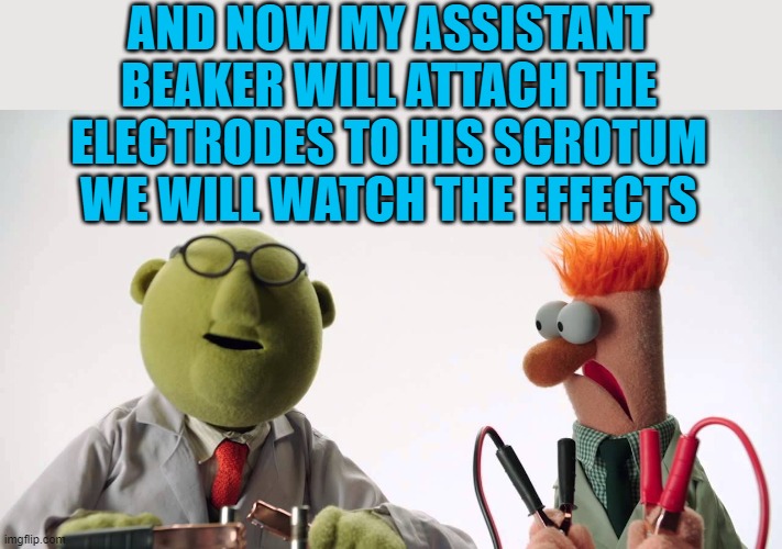 in the name of science | AND NOW MY ASSISTANT BEAKER WILL ATTACH THE ELECTRODES TO HIS SCROTUM WE WILL WATCH THE EFFECTS | image tagged in bunson and beaker,joke | made w/ Imgflip meme maker