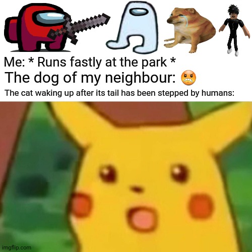 Surprised Pikachu | The dog of my neighbour: 😠; Me: * Runs fastly at the park *; The cat waking up after its tail has been stepped by humans: | image tagged in memes,surprised pikachu,jogging | made w/ Imgflip meme maker