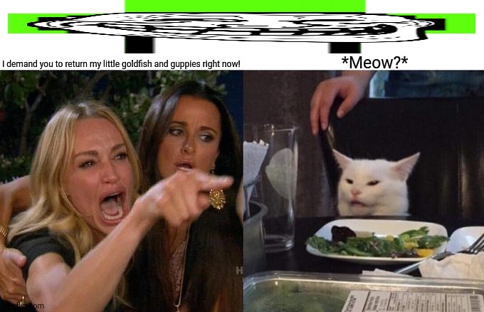 Woman Yelling At Cat | *Meow?*; I demand you to return my little goldfish and guppies right now! | image tagged in memes,woman yelling at cat,fish | made w/ Imgflip meme maker