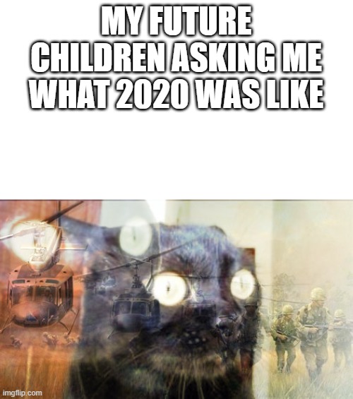 Flashback cat (made this myself) | MY FUTURE CHILDREN ASKING ME WHAT 2020 WAS LIKE | image tagged in flashback,cat,fun,memes | made w/ Imgflip meme maker