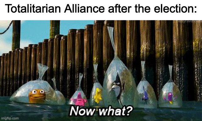 This is what happens when a government is elected after only campaigning on not being the opposition. | Totalitarian Alliance after the election: | image tagged in imgflip_presidents deserves better,join the conservative party,vote incognitoguy for president,make imgflip great again | made w/ Imgflip meme maker