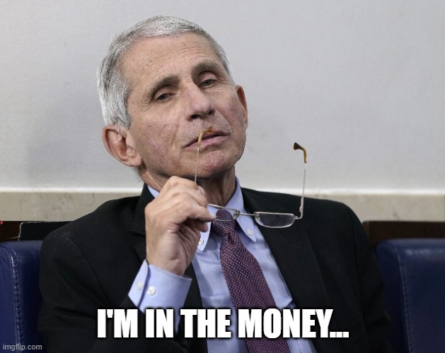 Dr. Fauci | I'M IN THE MONEY... | image tagged in dr fauci | made w/ Imgflip meme maker