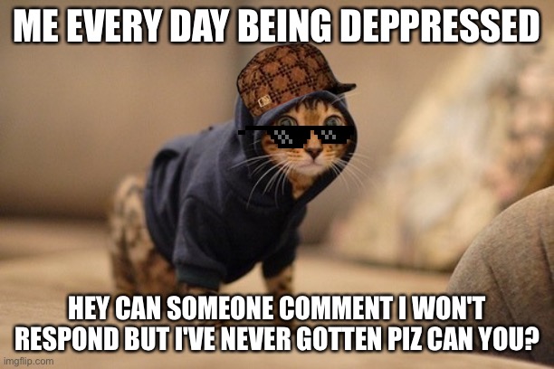 Hoody Cat | ME EVERY DAY BEING DEPPRESSED; HEY CAN SOMEONE COMMENT I WON'T RESPOND BUT I'VE NEVER GOTTEN PIZ CAN YOU? | image tagged in memes,hoody cat | made w/ Imgflip meme maker