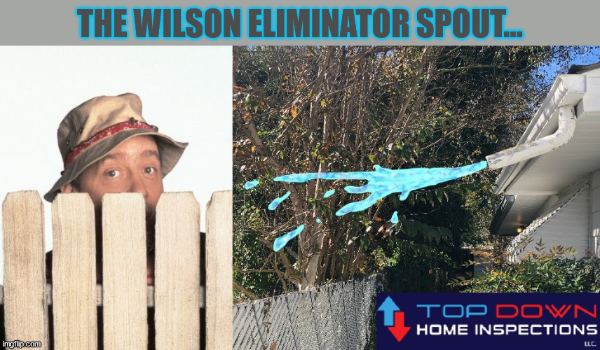 Willson Eliminator | THE WILSON ELIMINATOR SPOUT... | image tagged in tool time,home inspection,gutter fails,nosey neighbor,peeping tom | made w/ Imgflip meme maker