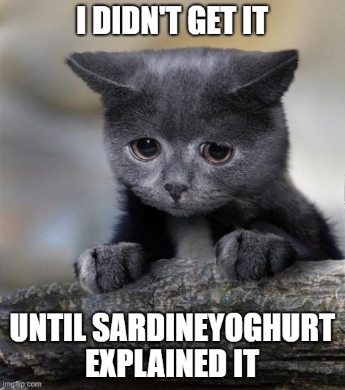 Confession Cat | I DIDN'T GET IT UNTIL SARDINEYOGHURT EXPLAINED IT | image tagged in confession cat | made w/ Imgflip meme maker