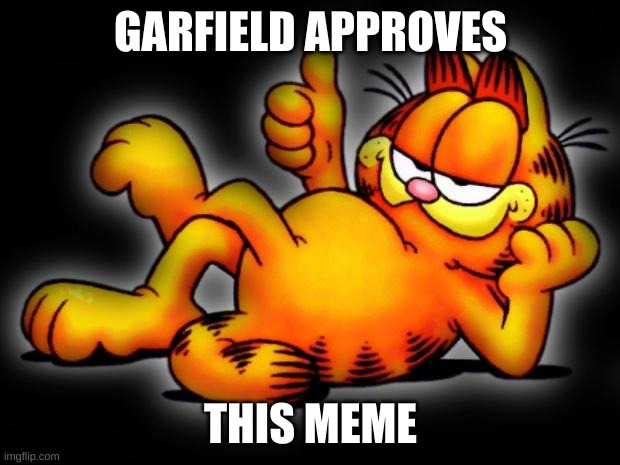 garfield thumbs up | GARFIELD APPROVES THIS MEME | image tagged in garfield thumbs up | made w/ Imgflip meme maker