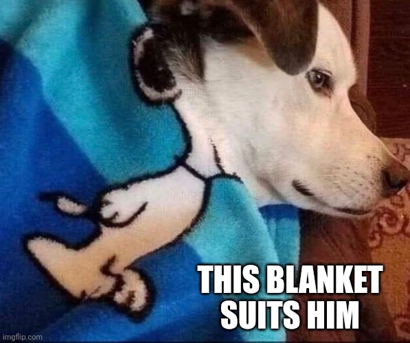 SNOOPY HAS A BIG HEAD | THIS BLANKET SUITS HIM | image tagged in dogs,funny dogs,snoopy | made w/ Imgflip meme maker