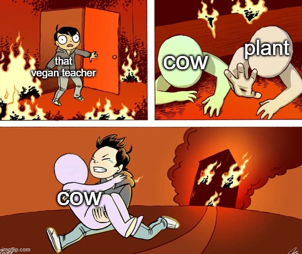 House fire | plant; cow; that vegan teacher; cow | image tagged in house fire | made w/ Imgflip meme maker