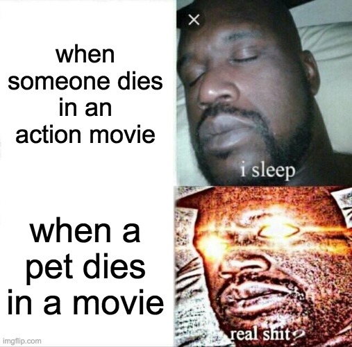 Sleeping Shaq | when someone dies in an action movie; when a pet dies in a movie | image tagged in memes,sleeping shaq | made w/ Imgflip meme maker
