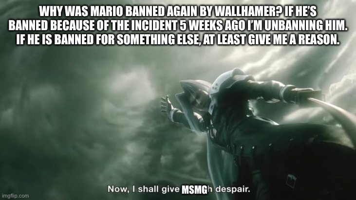 He came to me so now I have to ask. Also how tf did Spire get banned? | WHY WAS MARIO BANNED AGAIN BY WALLHAMER? IF HE’S BANNED BECAUSE OF THE INCIDENT 5 WEEKS AGO I’M UNBANNING HIM. IF HE IS BANNED FOR SOMETHING ELSE, AT LEAST GIVE ME A REASON. MSMG | made w/ Imgflip meme maker