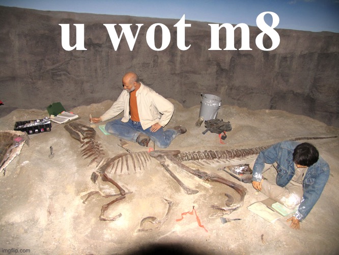 Fossilized philosoraptor | u wot m8 | image tagged in fossilized philosoraptor | made w/ Imgflip meme maker