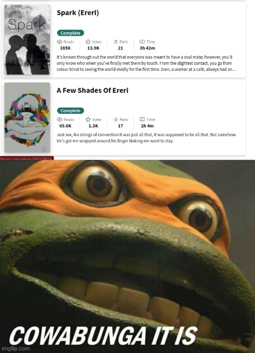 Im gonna REGRET this B) | image tagged in cowabunga it is | made w/ Imgflip meme maker