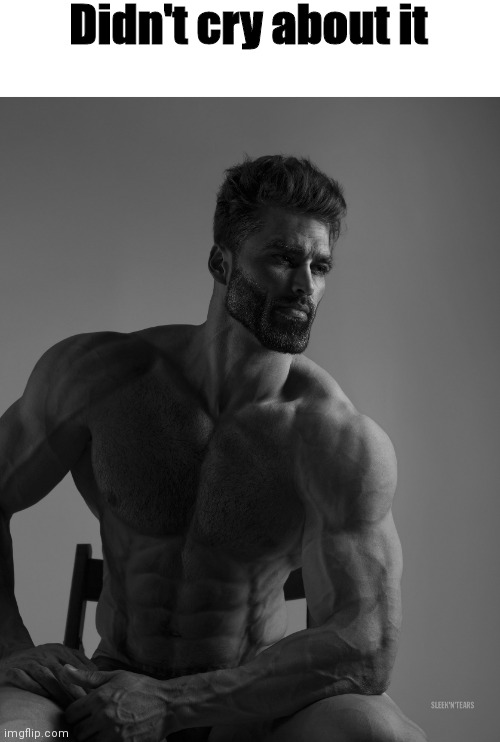 Giga Chad | Didn't cry about it | image tagged in giga chad | made w/ Imgflip meme maker