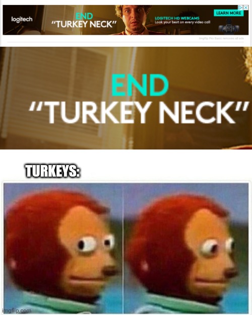 I got this ad while browsing Imgflip. This is not Thanksgiving! | TURKEYS: | image tagged in memes,monkey puppet,thanksgiving,ads,turkey | made w/ Imgflip meme maker