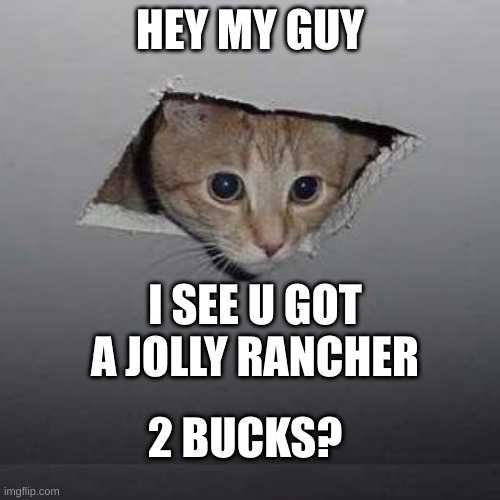 Ceiling Cat | HEY MY GUY; I SEE U GOT A JOLLY RANCHER; 2 BUCKS? | image tagged in memes,ceiling cat | made w/ Imgflip meme maker