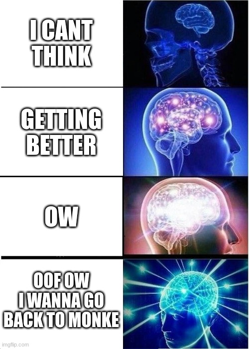 Expanding Brain Meme | I CANT THINK; GETTING BETTER; OW; OOF OW I WANNA GO BACK TO MONKE | image tagged in memes,expanding brain | made w/ Imgflip meme maker