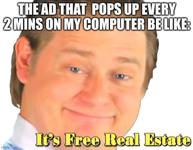 Does this happen to anyone else? | THE AD THAT  POPS UP EVERY 2 MINS ON MY COMPUTER BE LIKE: | image tagged in it's free realestate | made w/ Imgflip meme maker