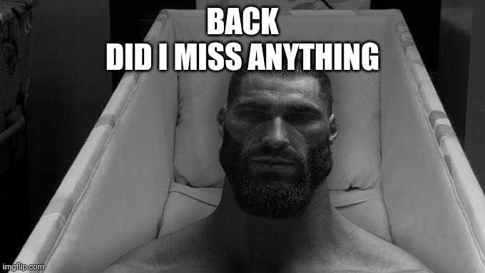 BACK
DID I MISS ANYTHING | made w/ Imgflip meme maker