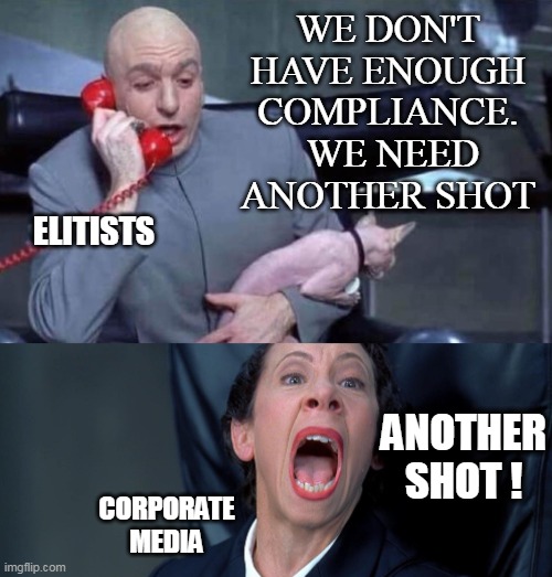 Dr Evil and Frau | WE DON'T HAVE ENOUGH COMPLIANCE.  WE NEED ANOTHER SHOT ANOTHER SHOT ! ELITISTS CORPORATE MEDIA | image tagged in dr evil and frau | made w/ Imgflip meme maker
