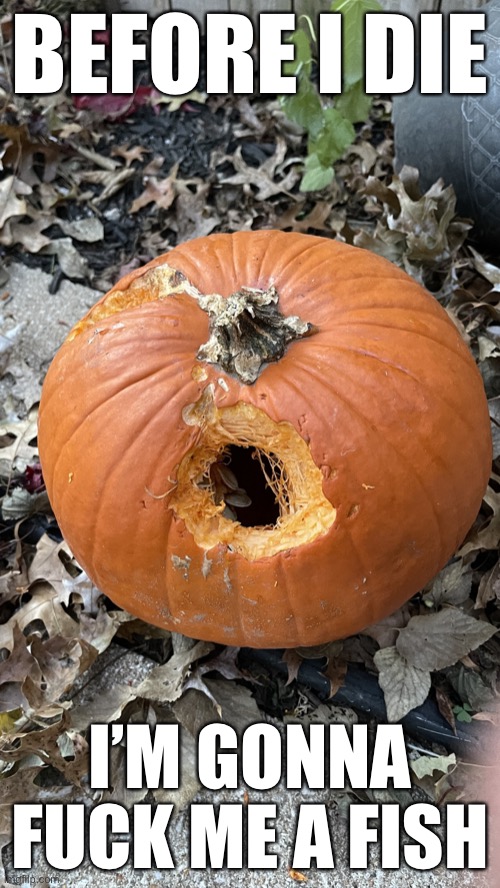 Fuck me a fish | BEFORE I DIE; I’M GONNA FUCK ME A FISH | image tagged in pumpkin,fish,fuck,pumpkins,halloween | made w/ Imgflip meme maker