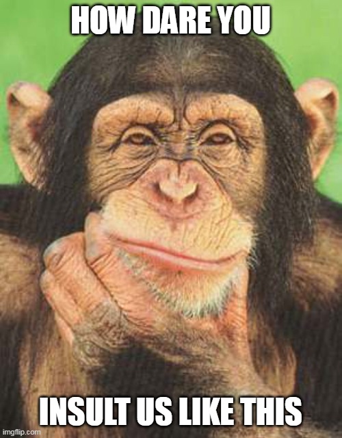 chimpanzee thinking | HOW DARE YOU INSULT US LIKE THIS | image tagged in chimpanzee thinking | made w/ Imgflip meme maker