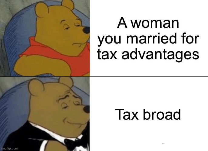 you gotta get the bag somehow |  A woman you married for tax advantages; Tax broad | image tagged in memes,tuxedo winnie the pooh | made w/ Imgflip meme maker