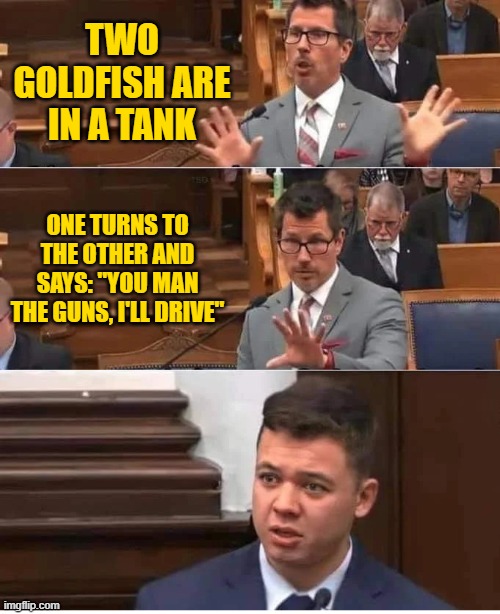  TWO GOLDFISH ARE IN A TANK; ONE TURNS TO THE OTHER AND SAYS: "YOU MAN THE GUNS, I'LL DRIVE" | image tagged in hypothetical questions | made w/ Imgflip meme maker