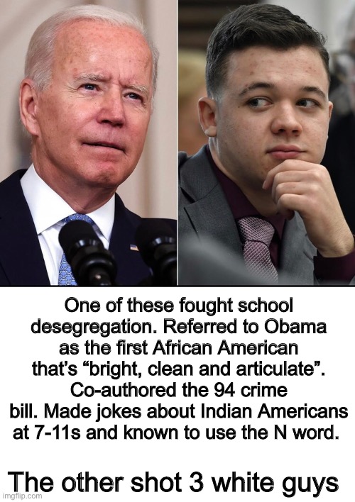 One has been labeled a white supremacist. . | One of these fought school desegregation. Referred to Obama as the first African American that’s “bright, clean and articulate”. Co-authored the 94 crime bill. Made jokes about Indian Americans at 7-11s and known to use the N word. The other shot 3 white guys | image tagged in joe biden,liberal logic,politics lol,hypocrisy | made w/ Imgflip meme maker