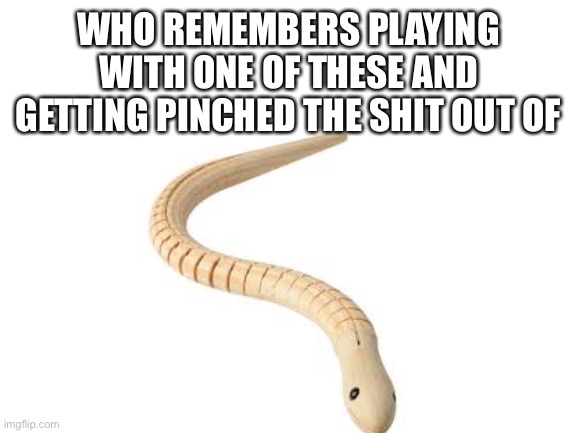 Pain | WHO REMEMBERS PLAYING WITH ONE OF THESE AND GETTING PINCHED THE SHIT OUT OF | image tagged in relatable,memes,toy | made w/ Imgflip meme maker