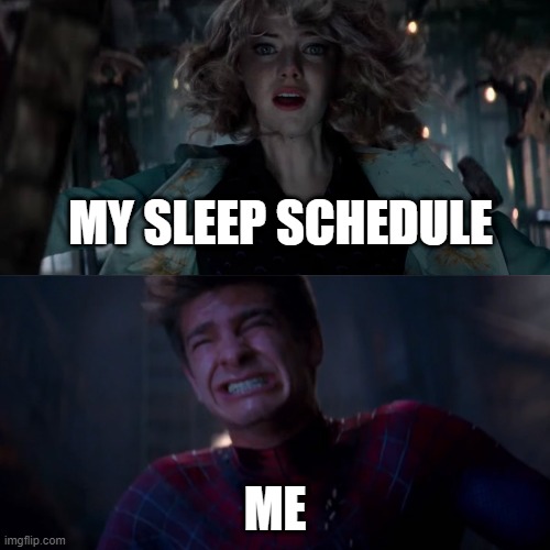 The Sad Ending | MY SLEEP SCHEDULE; ME | image tagged in andrew garfield crying | made w/ Imgflip meme maker