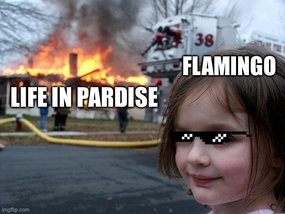 Disaster Girl | FLAMINGO; LIFE IN PARDISE | image tagged in memes,disaster girl | made w/ Imgflip meme maker