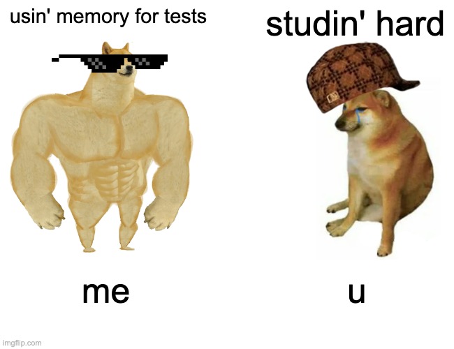 Buff Doge vs. Cheems | usin' memory for tests; studin' hard; me; u | image tagged in memes,buff doge vs cheems | made w/ Imgflip meme maker
