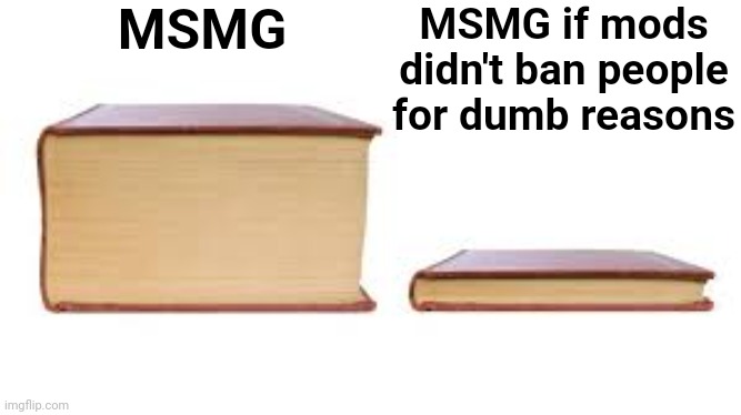 Big book small book | MSMG; MSMG if mods didn't ban people for dumb reasons | image tagged in big book small book | made w/ Imgflip meme maker