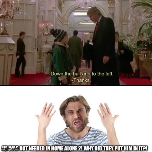 I watched it again recently because I was bored and remembered it was a good movie. Why put him in it though | HE WAS NOT NEEDED IN HOME ALONE 2! WHY DID THEY PUT HIM IN IT?! | image tagged in donald trump,sucks,home alone 2,why | made w/ Imgflip meme maker
