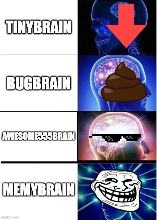 Expanding Brain Meme | TINYBRAIN; BUGBRAIN; AWESOME555BRAIN; MEMYBRAIN | image tagged in memes,expanding brain | made w/ Imgflip meme maker