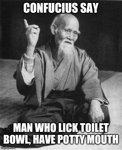 Wise Master | CONFUCIUS SAY MAN WHO LICK TOILET BOWL, HAVE POTTY MOUTH | image tagged in wise master | made w/ Imgflip meme maker