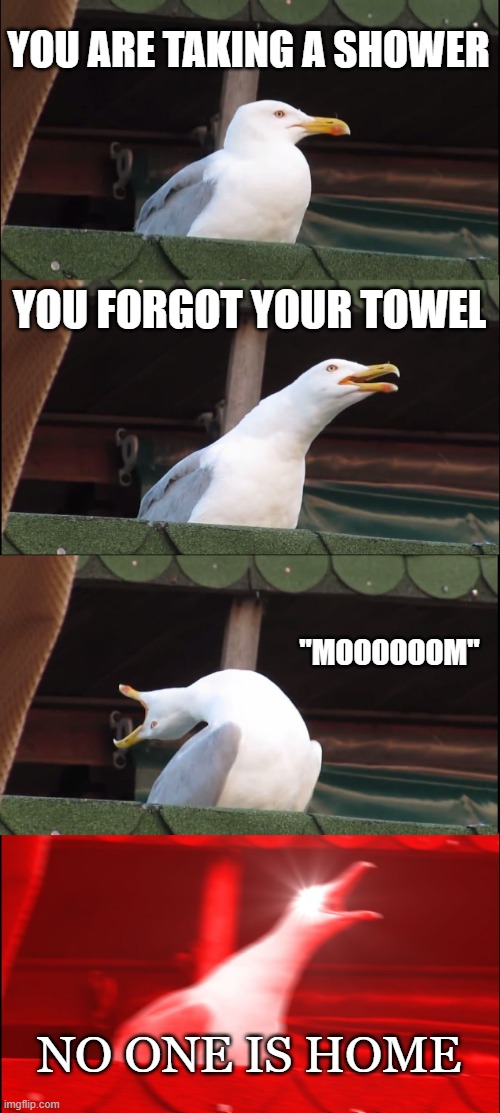 Everyone, Panic! | YOU ARE TAKING A SHOWER; YOU FORGOT YOUR TOWEL; "MOOOOOOM"; NO ONE IS HOME | image tagged in memes,inhaling seagull | made w/ Imgflip meme maker