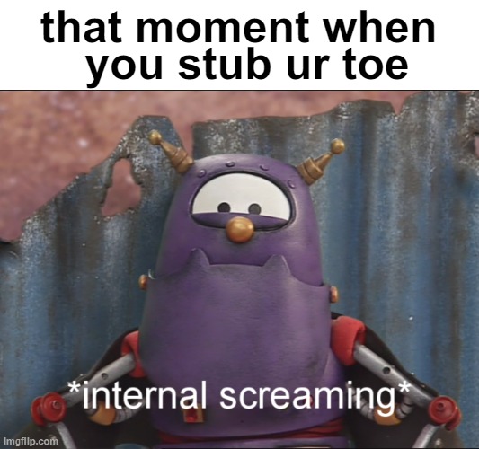 scary internal screaming | you stub ur toe; that moment when | image tagged in scary internal screaming | made w/ Imgflip meme maker