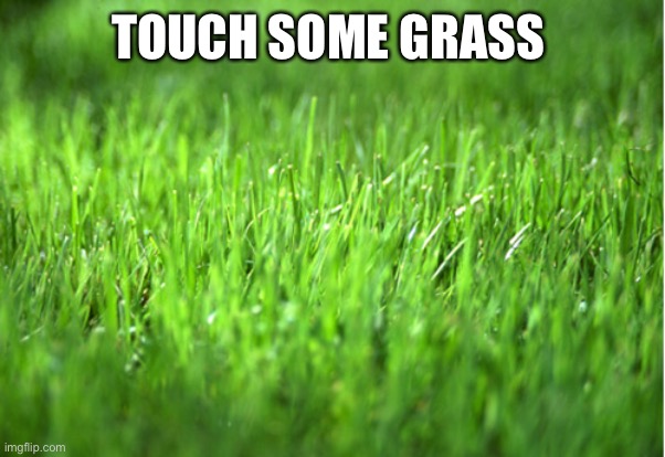 grass is greener | TOUCH SOME GRASS | image tagged in grass is greener | made w/ Imgflip meme maker
