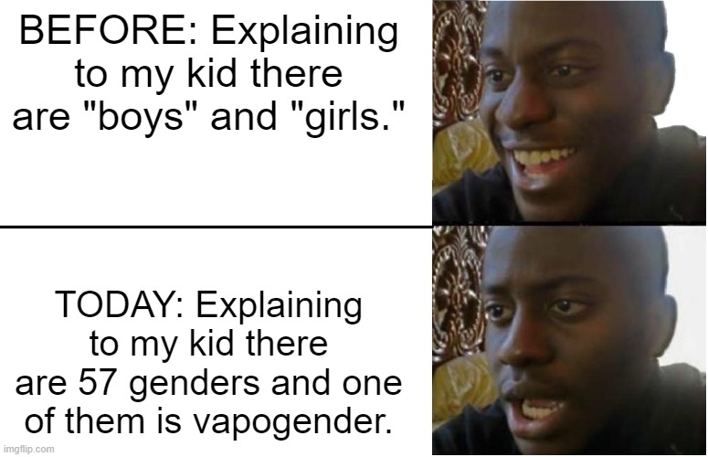 There is an actual gender called vapogender and it has a flag. | BEFORE: Explaining to my kid there are "boys" and "girls."; TODAY: Explaining to my kid there are 57 genders and one of them is vapogender. | image tagged in disappointed black guy,vapogender,genders,male and female,two genders | made w/ Imgflip meme maker