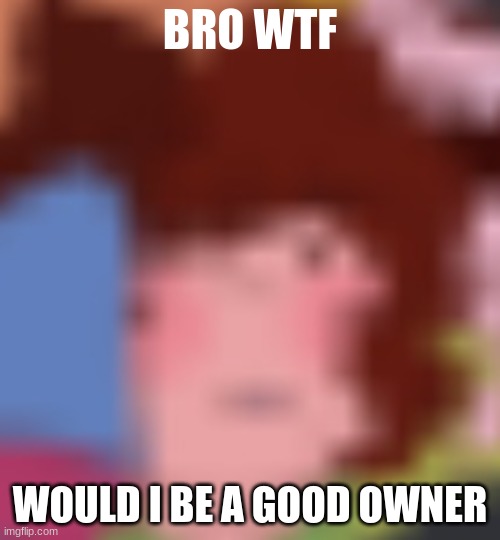 chara bro wtf | WOULD I BE A GOOD OWNER | image tagged in chara bro wtf | made w/ Imgflip meme maker