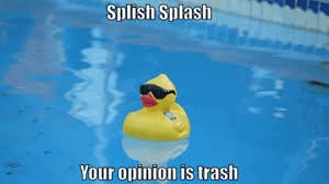 splish splash your opinion is trash | image tagged in splish splash your opinion is trash | made w/ Imgflip meme maker