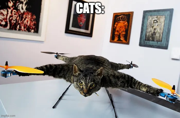 screw gravity (goes to creative mode) | CATS: | image tagged in screw,gravity | made w/ Imgflip meme maker