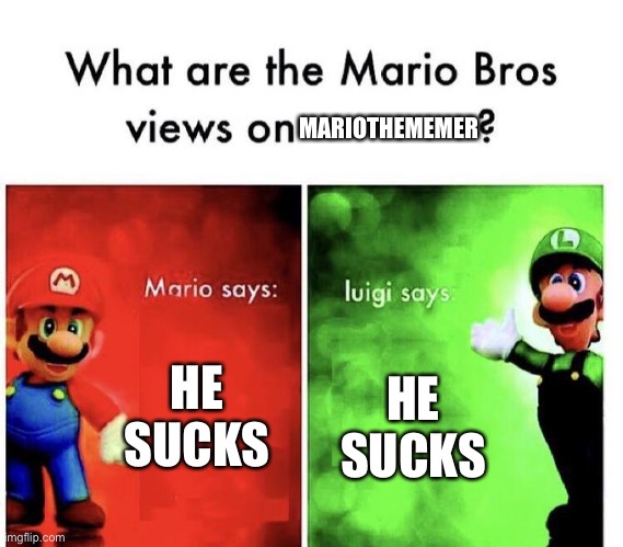 Mario Bros Views | MARIOTHEMEMER HE SUCKS HE SUCKS | image tagged in mario bros views | made w/ Imgflip meme maker